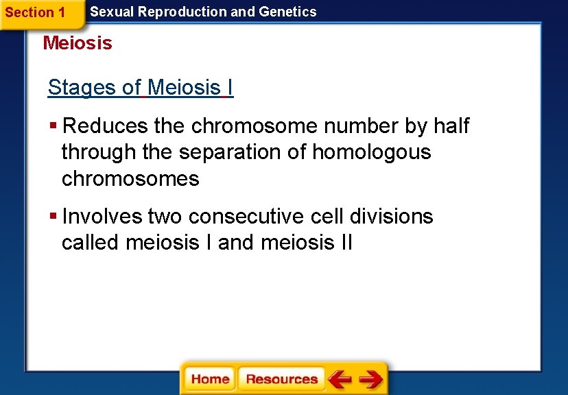Section 1 Sexual Reproduction and Genetics Meiosis Stages of Meiosis I § Reduces the