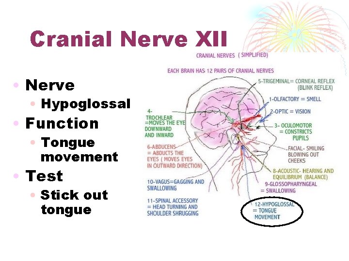 Cranial Nerve XII • Nerve • Hypoglossal • Function • Tongue movement • Test