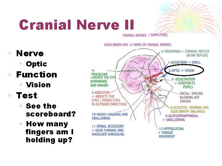 Cranial Nerve II • Nerve • Optic • Function • Vision • Test •