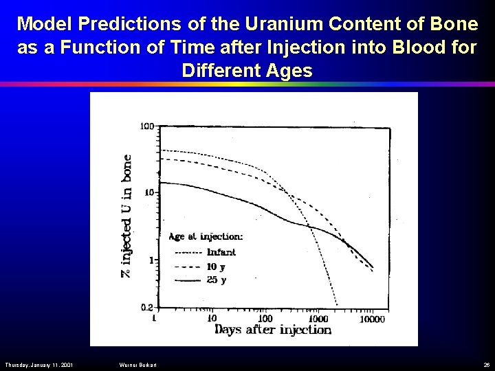 Model Predictions of the Uranium Content of Bone as a Function of Time after