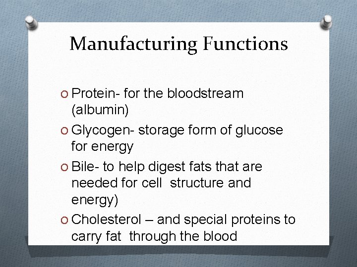 Manufacturing Functions O Protein- for the bloodstream (albumin) O Glycogen- storage form of glucose