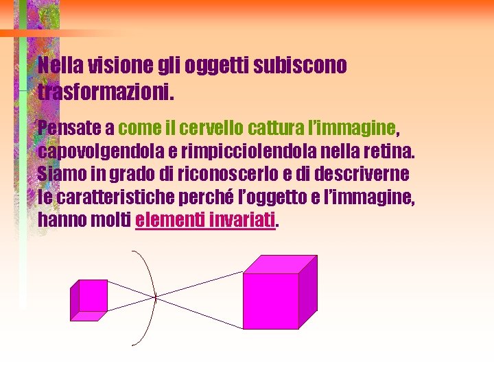 Nella visione gli oggetti subiscono trasformazioni. Pensate a come il cervello cattura l’immagine, capovolgendola