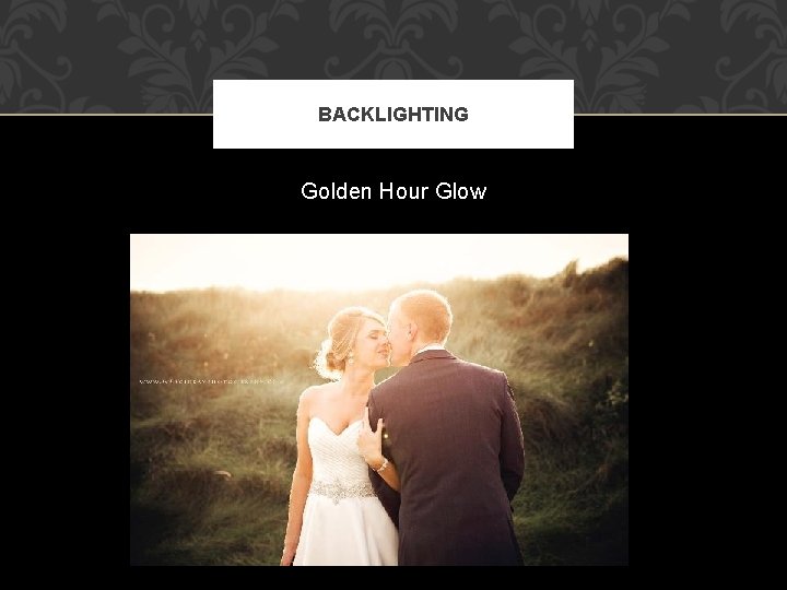 BACKLIGHTING Golden Hour Glow BACKLIGHTING Golden Hour Glow