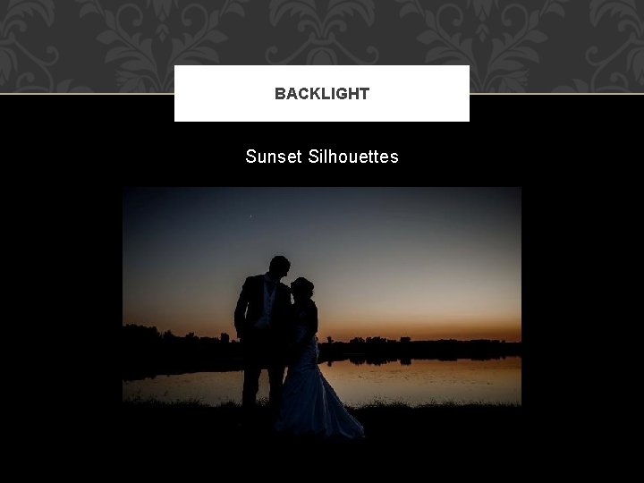 BACKLIGHT Sunset Silhouettes 