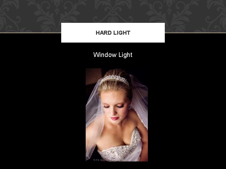 HARD LIGHT Window Light 