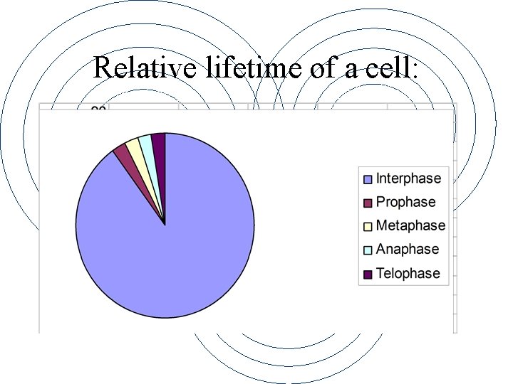 Relative lifetime of a cell: 