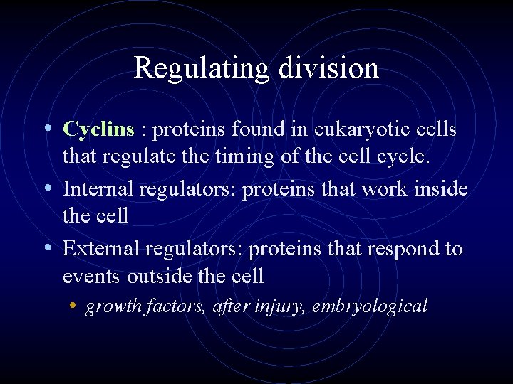 Regulating division • Cyclins : proteins found in eukaryotic cells that regulate the timing