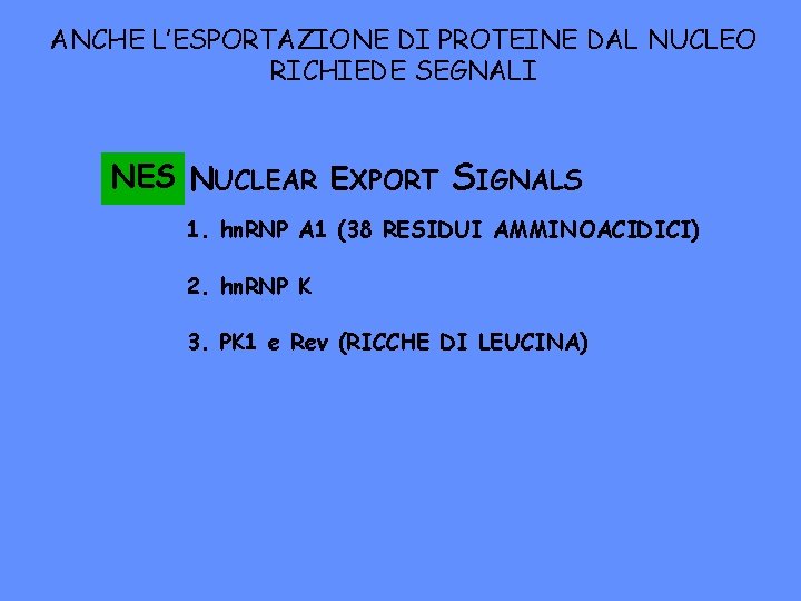 ANCHE L’ESPORTAZIONE DI PROTEINE DAL NUCLEO RICHIEDE SEGNALI NES NUCLEAR EXPORT SIGNALS 1. hn.