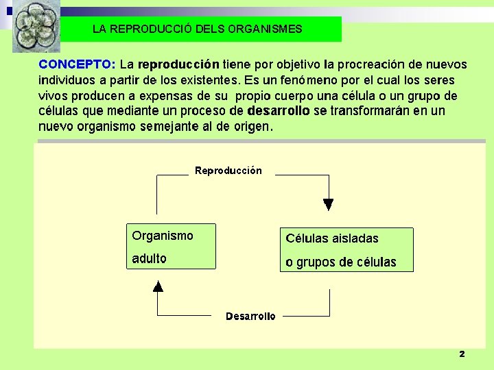 LA REPRODUCCIÓ DELS ORGANISMES 2 