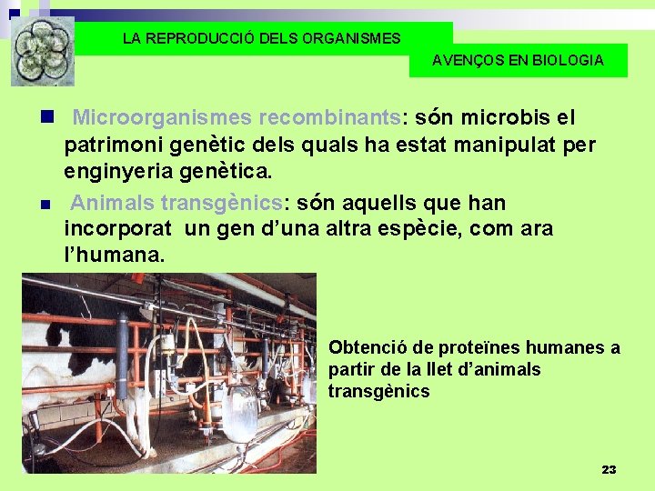 LA REPRODUCCIÓ DELS ORGANISMES AVENÇOS EN BIOLOGIA n Microorganismes recombinants: són microbis el patrimoni