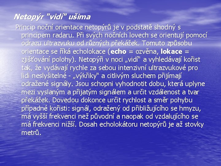 Netopýr "vidí" ušima Princip noční orientace netopýrů je v podstatě shodný s principem radaru.