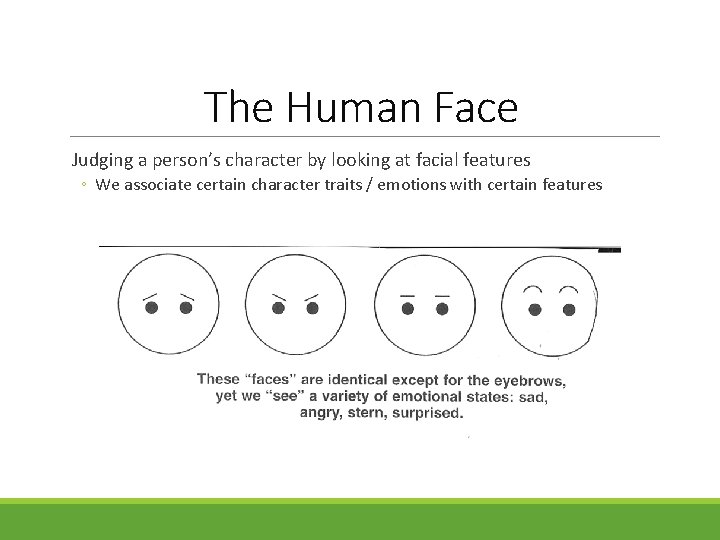 The Human Face Judging a person’s character by looking at facial features ◦ We The Human Face Judging a person’s character by looking at facial features ◦ We
