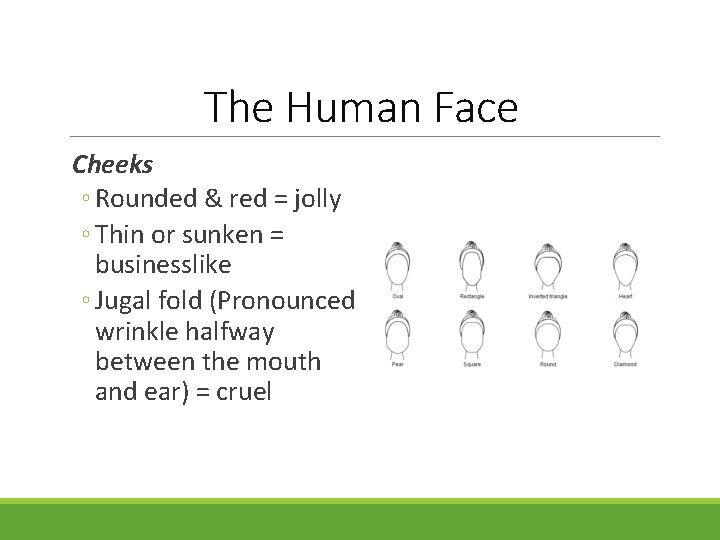 The Human Face Cheeks ◦ Rounded & red = jolly ◦ Thin or sunken