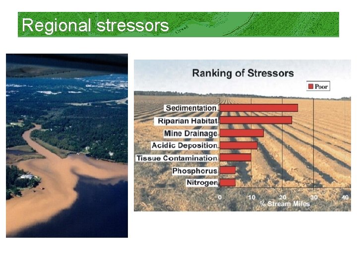 Regional stressors 