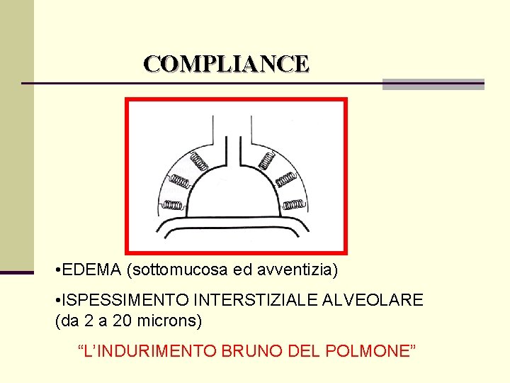 COMPLIANCE • EDEMA (sottomucosa ed avventizia) • ISPESSIMENTO INTERSTIZIALE ALVEOLARE (da 2 a 20