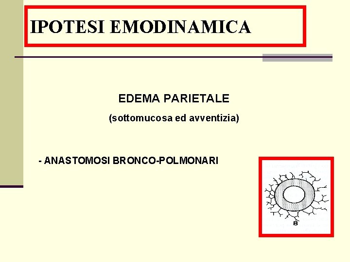IPOTESI EMODINAMICA EDEMA PARIETALE (sottomucosa ed avventizia) - ANASTOMOSI BRONCO-POLMONARI 