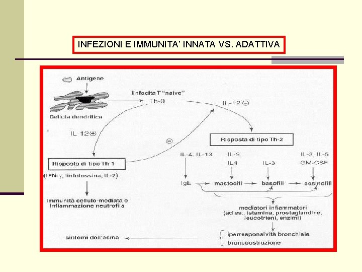 INFEZIONI E IMMUNITA’ INNATA VS. ADATTIVA 