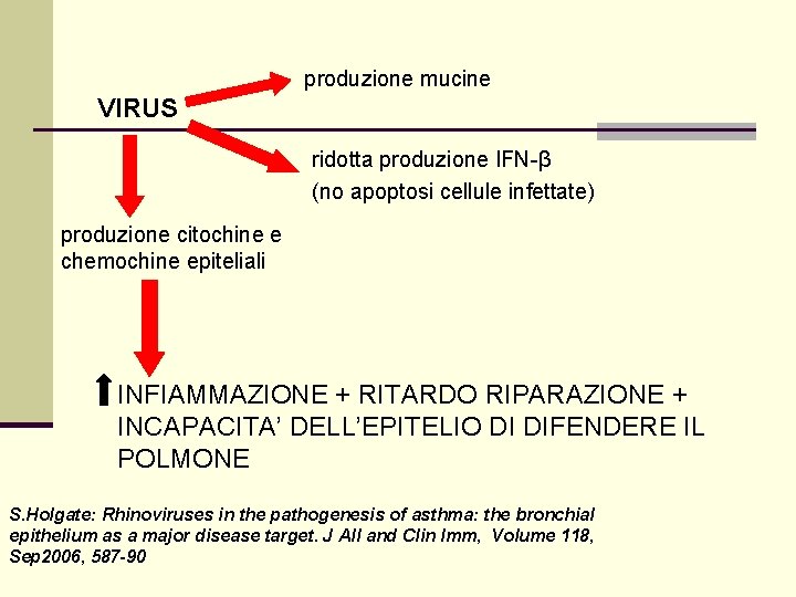 produzione mucine VIRUS ridotta produzione IFN-β (no apoptosi cellule infettate) produzione citochine e chemochine