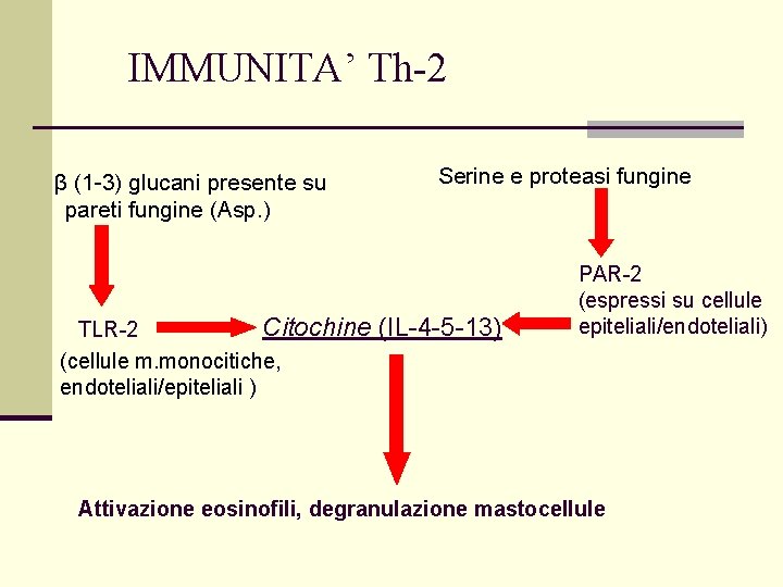 IMMUNITA’ Th-2 β (1 -3) glucani presente su pareti fungine (Asp. ) Citochine TLR-2