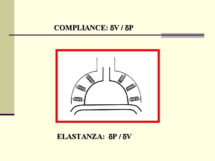 COMPLIANCE: V / P ELASTANZA: P / V 