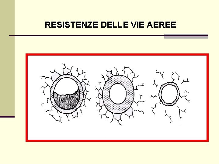 RESISTENZE DELLE VIE AEREE 