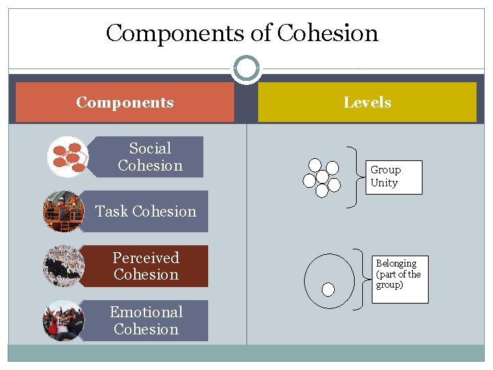 Components of Cohesion Components Social Cohesion Levels Group Unity Task Cohesion Perceived Cohesion Emotional