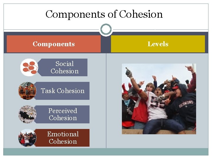 Components of Cohesion Components Social Cohesion Task Cohesion Perceived Cohesion Emotional Cohesion Levels 