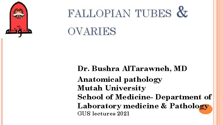 FALLOPIAN TUBES & OVARIES Dr. Bushra Al. Tarawneh, MD Anatomical pathology Mutah University School