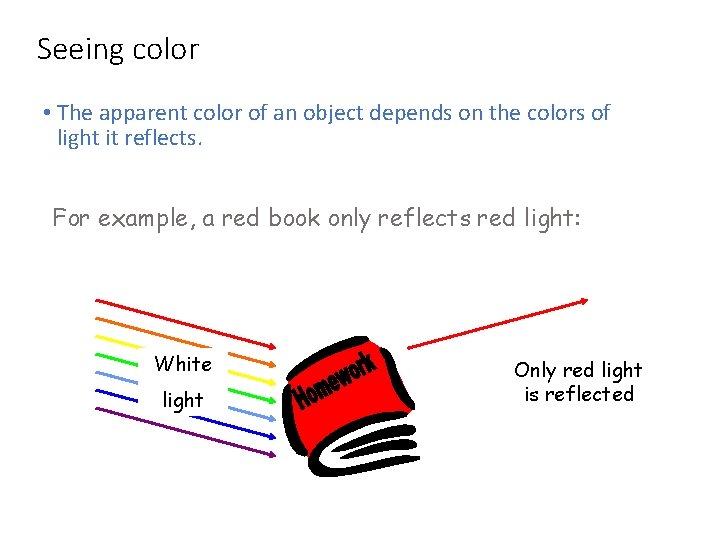 Seeing color • The apparent color of an object depends on the colors of
