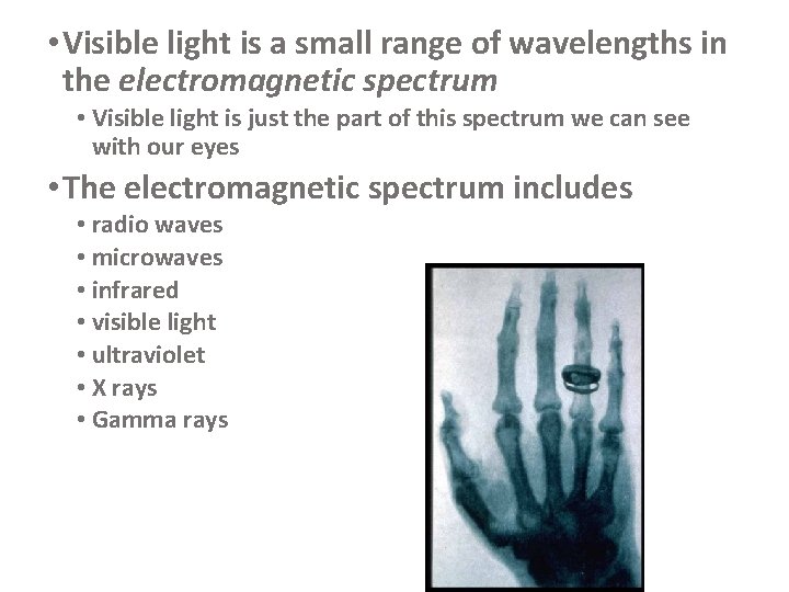  • Visible light is a small range of wavelengths in the electromagnetic spectrum
