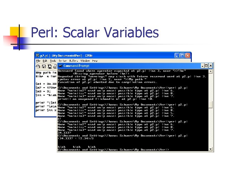 Perl: Scalar Variables 