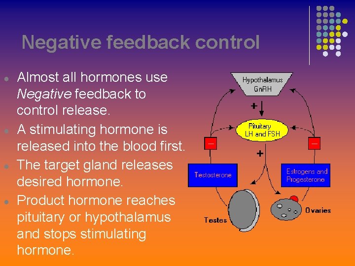 Negative feedback control ● ● Almost all hormones use Negative feedback to control release.