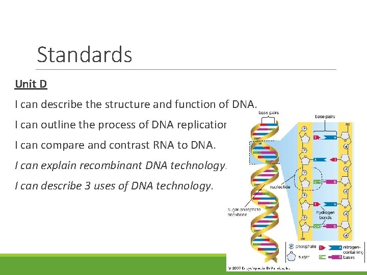 Standards Unit D I can describe the structure and function of DNA. I can Standards Unit D I can describe the structure and function of DNA. I can