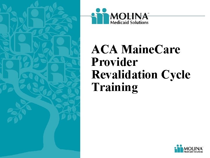 ACA Maine. Care Provider Revalidation Cycle Training ACA Maine. Care Provider Revalidation Cycle Training