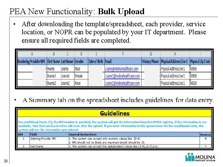 PEA New Functionality: Bulk Upload • After downloading the template/spreadsheet, each provider, service location, PEA New Functionality: Bulk Upload • After downloading the template/spreadsheet, each provider, service location,