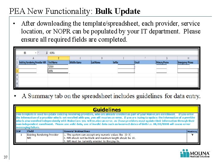 PEA New Functionality: Bulk Update • After downloading the template/spreadsheet, each provider, service location, PEA New Functionality: Bulk Update • After downloading the template/spreadsheet, each provider, service location,