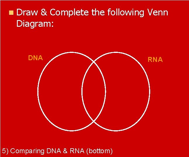 n Draw & Complete the following Venn Diagram: DNA 5) Comparing DNA & RNA