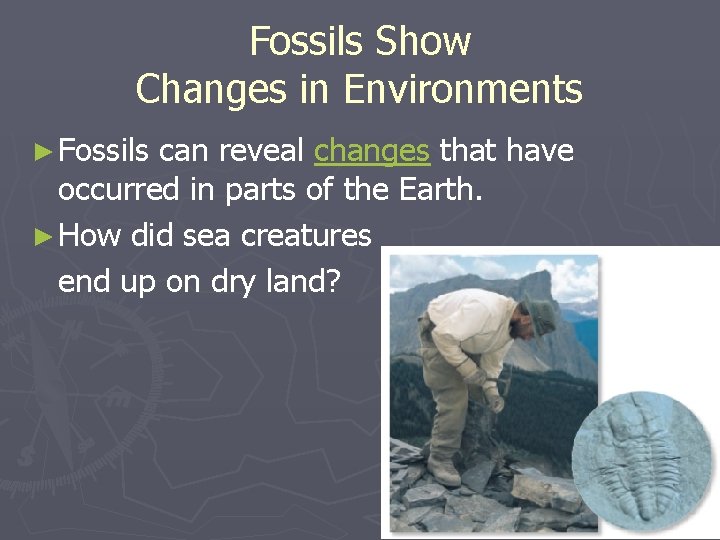 Fossils Show Changes in Environments ► Fossils can reveal changes that have occurred in