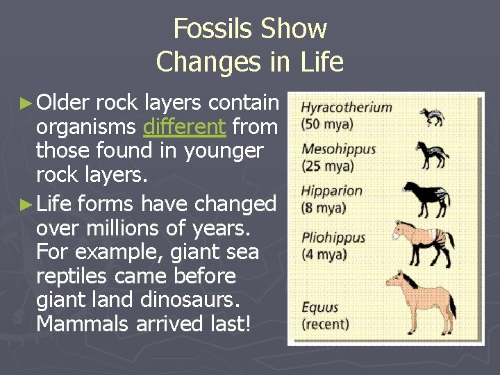 Fossils Show Changes in Life ► Older rock layers contain organisms different from those