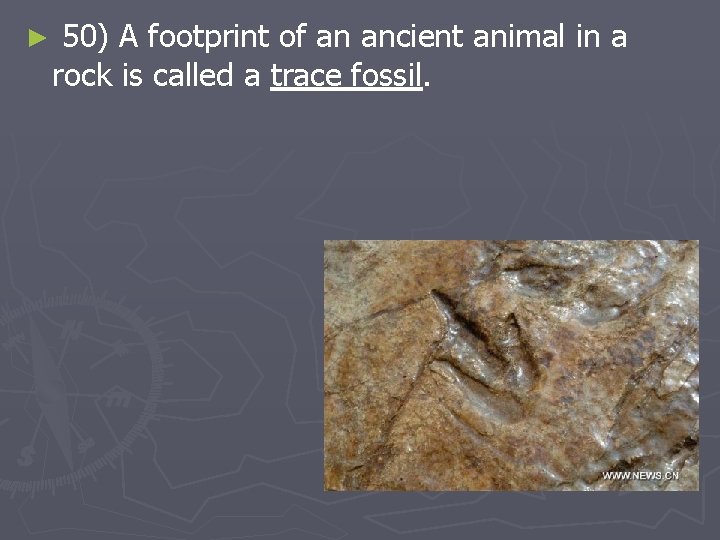 ► 50) A footprint of an ancient animal in a rock is called a
