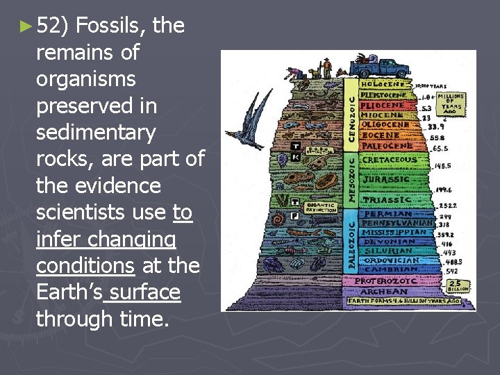 ► 52) Fossils, the remains of organisms preserved in sedimentary rocks, are part of