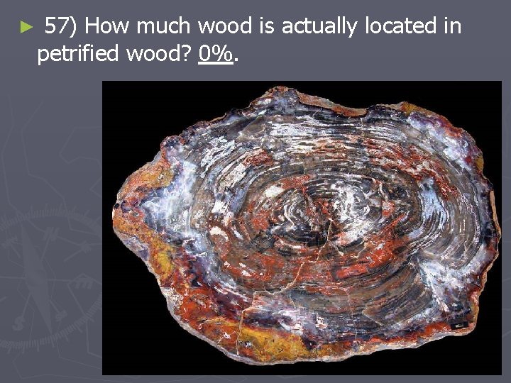► 57) How much wood is actually located in petrified wood? 0%. 