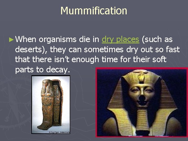 Mummification ► When organisms die in dry places (such as deserts), they can sometimes