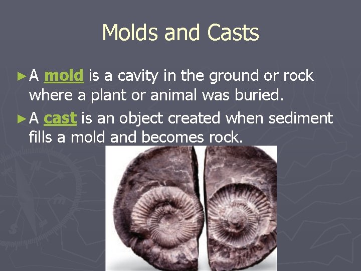 Molds and Casts ►A mold is a cavity in the ground or rock where