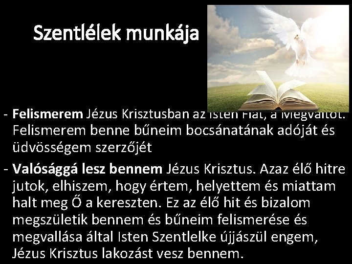 Szentlélek munkája - Felismerem Jézus Krisztusban az Isten Fiát, a Megváltót. Felismerem benne bűneim