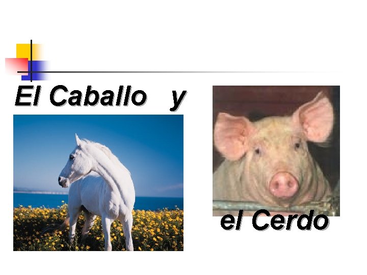 El Caballo y el Cerdo 