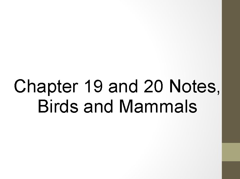 Chapter 19 and 20 Notes, Birds and Mammals 