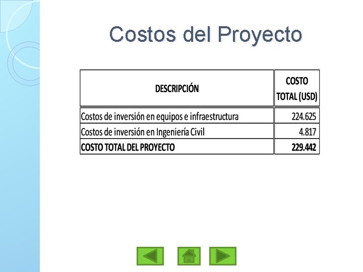 Costos del Proyecto 