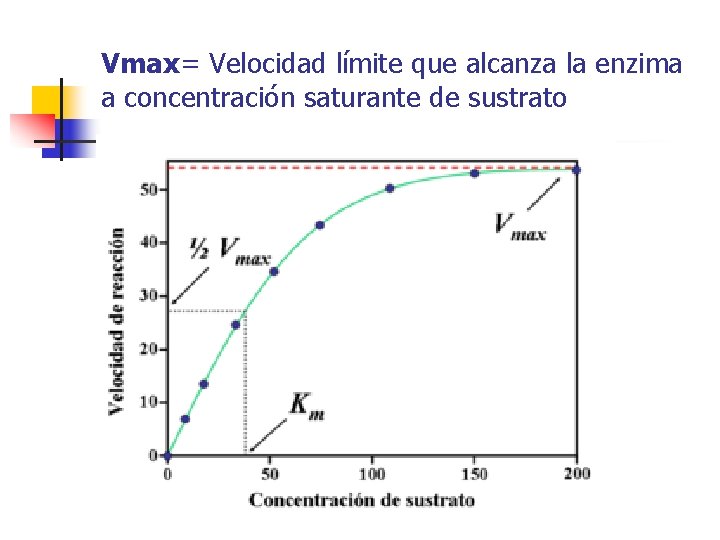 Vmax= Velocidad límite que alcanza la enzima a concentración saturante de sustrato 