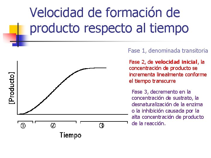Velocidad de formación de producto respecto al tiempo Fase 1, denominada transitoria Fase 2,
